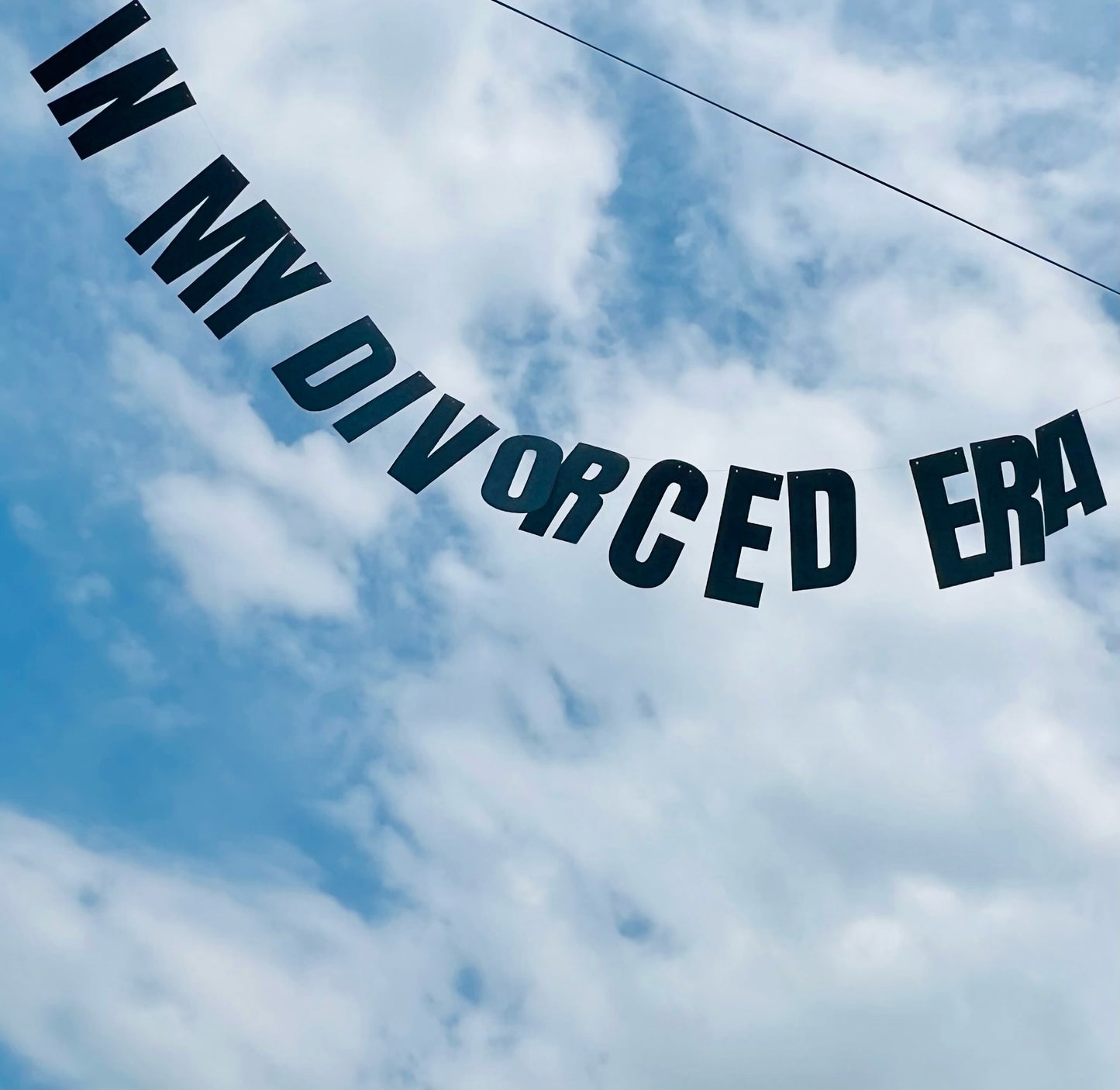 In my divorced era banner