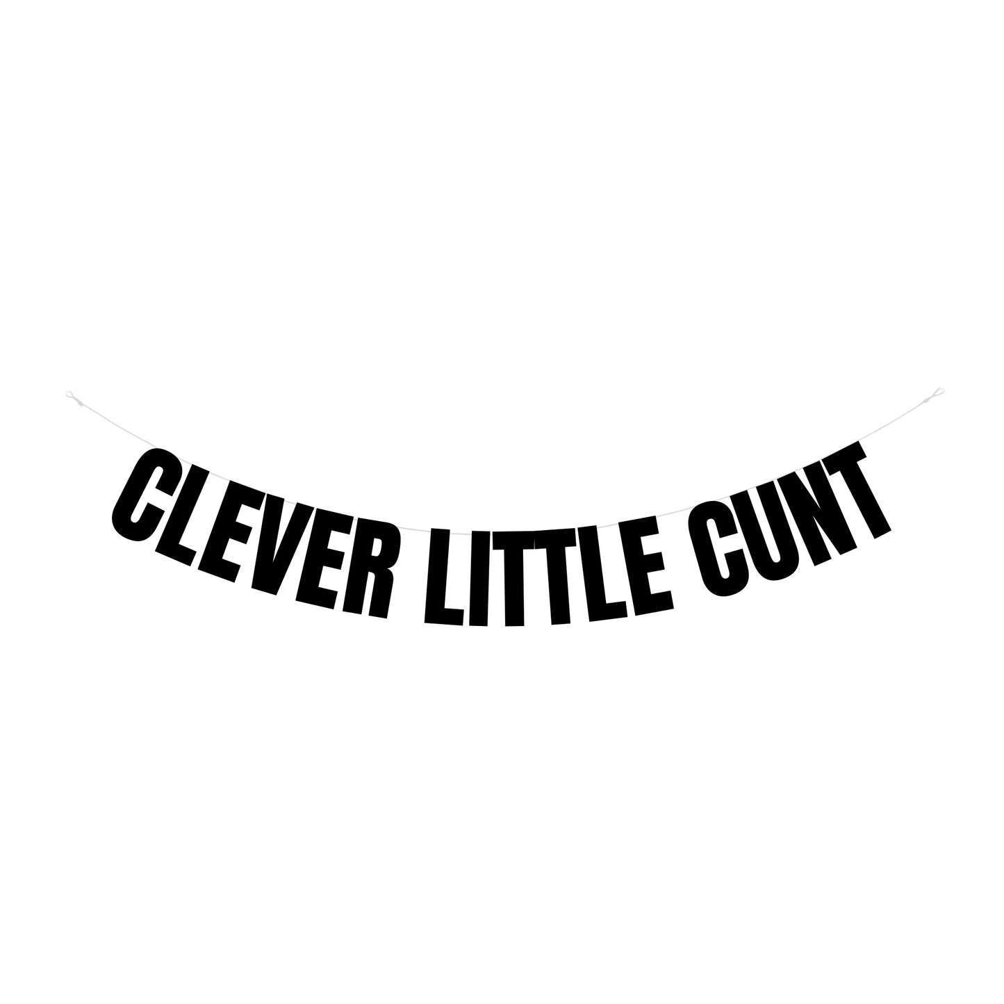 Clever little cunt banner
