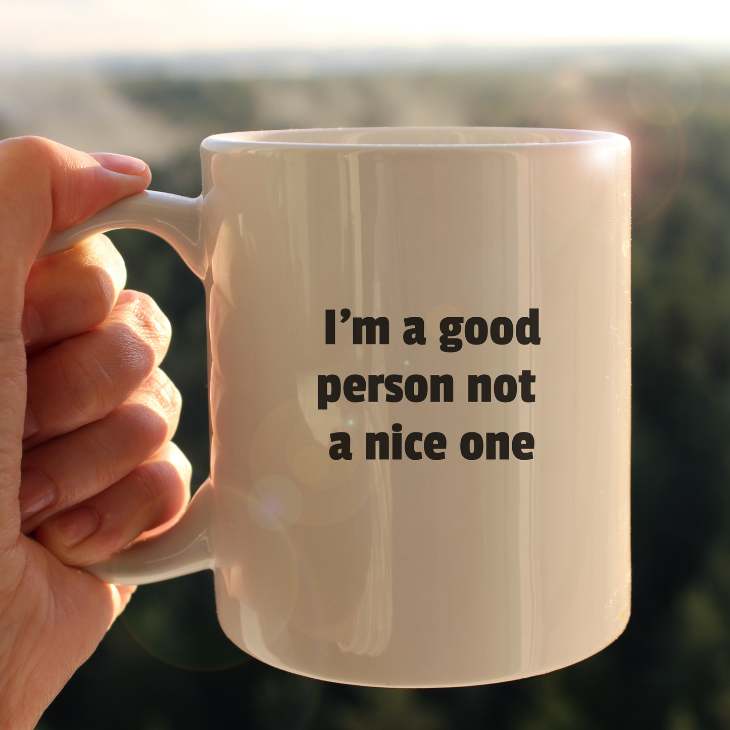 Not a nice person mug