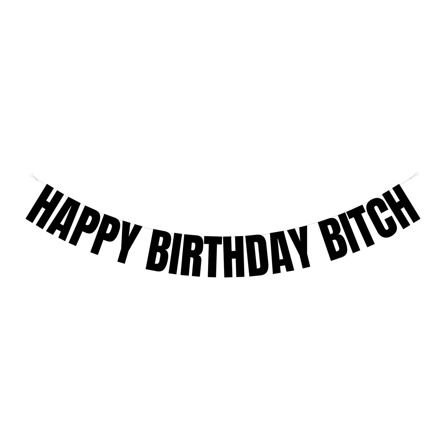 Happy birthday bitch banner