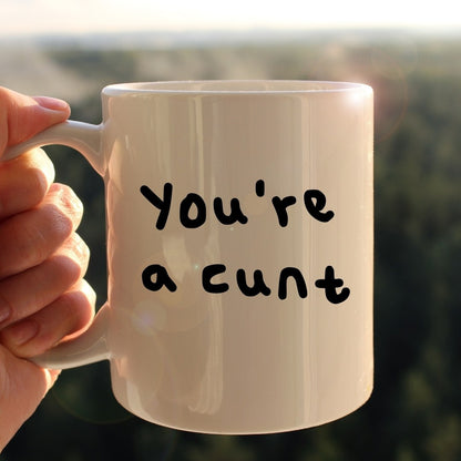 You're a cunt mug