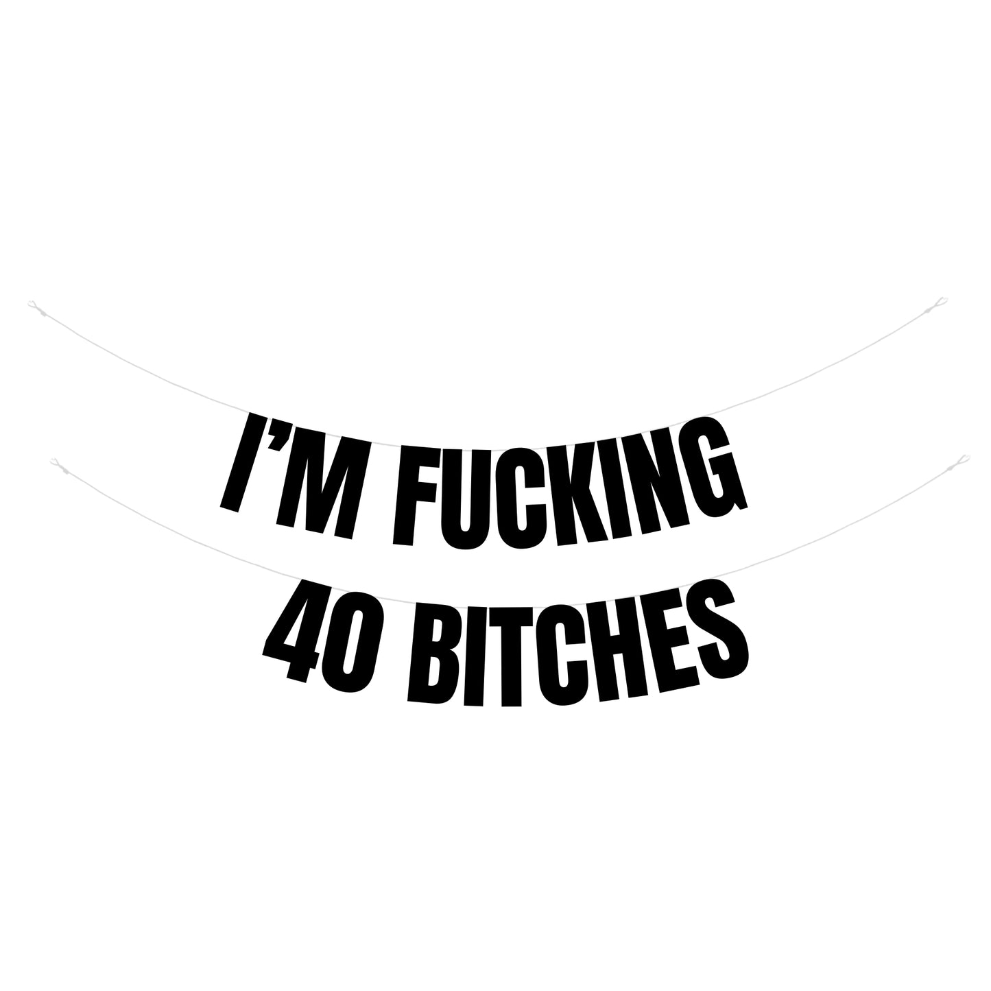 Fucking 40 bitches banner
